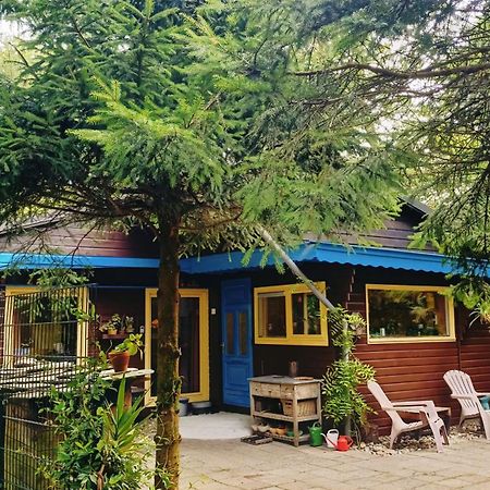 Het Houten Boshuisje Hattemerbroek Exterior foto