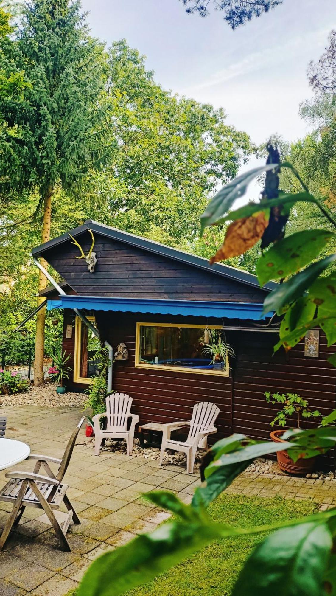 Het Houten Boshuisje Hattemerbroek Exterior foto