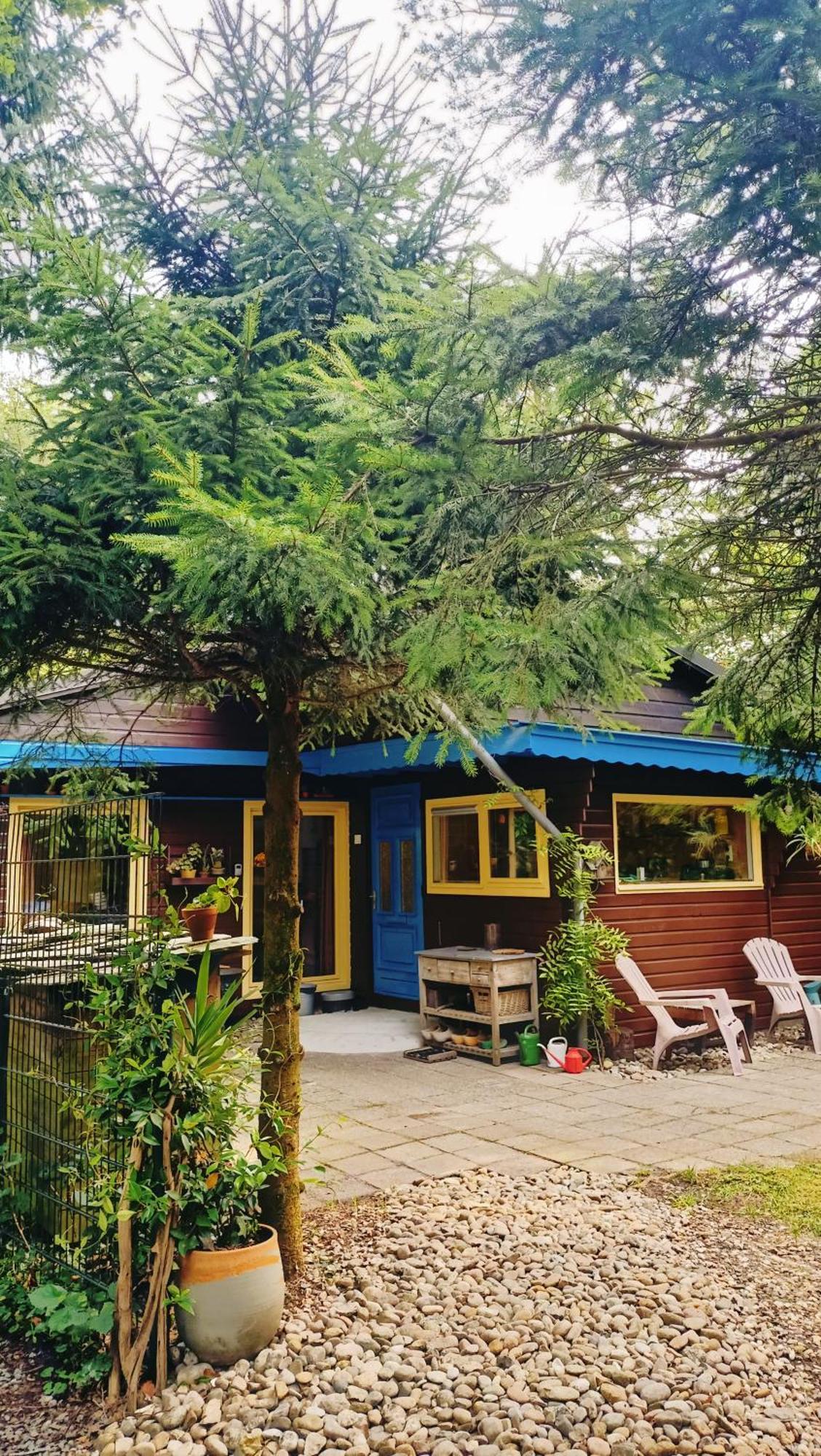 Het Houten Boshuisje Hattemerbroek Exterior foto